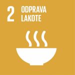 Sustainable development ikona
