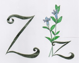 Zeliščarna &#8211; ODPADE
