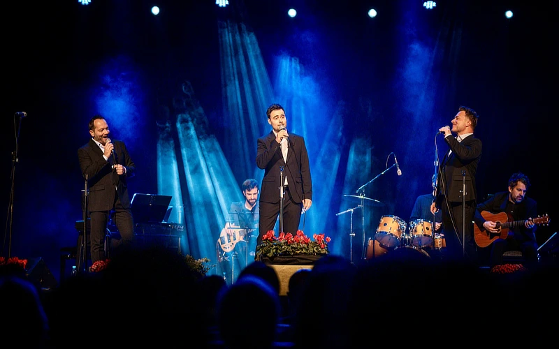 Trio Vivere