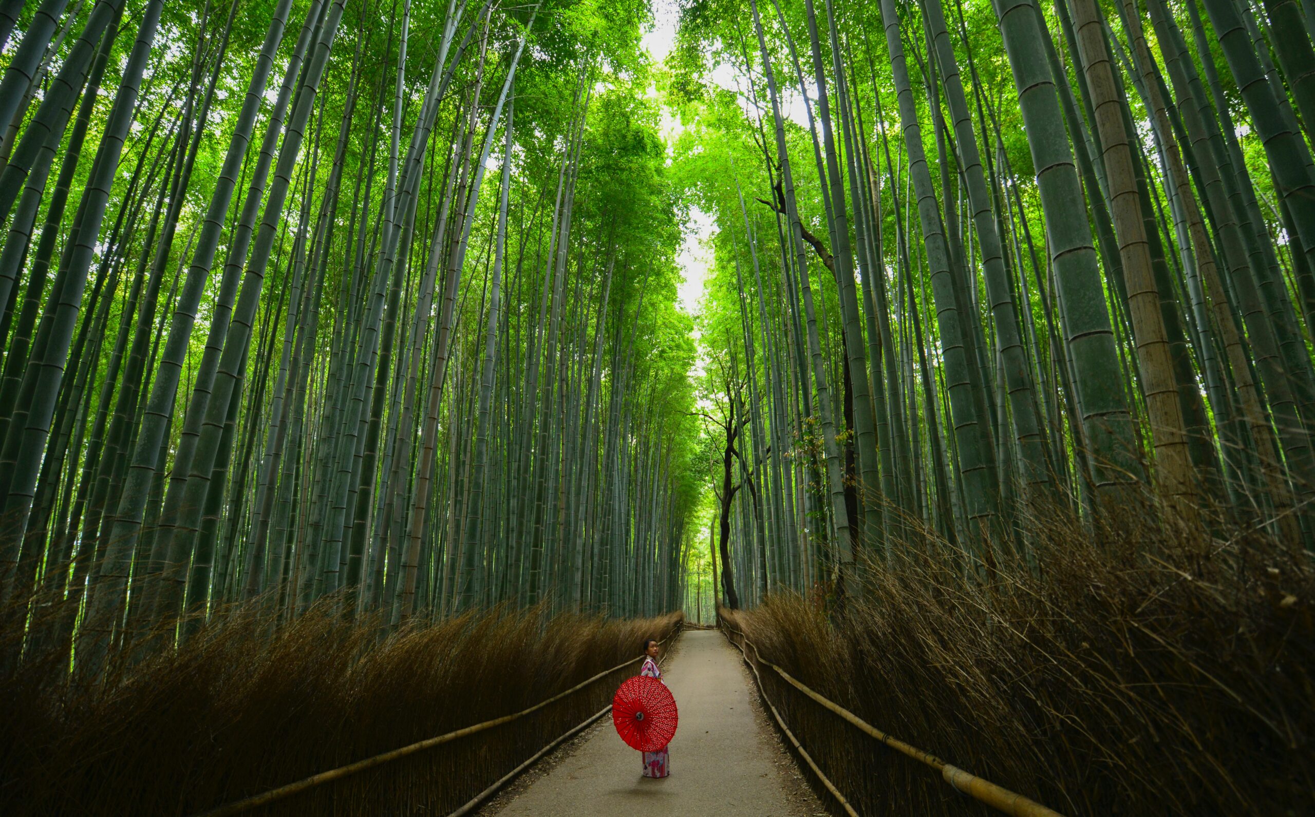 Japonska