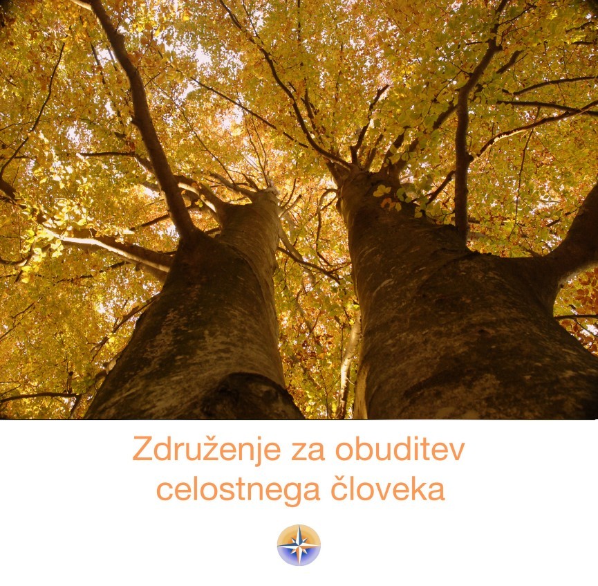 Pljuča zahtevajo komunikacijo s stvarstvom