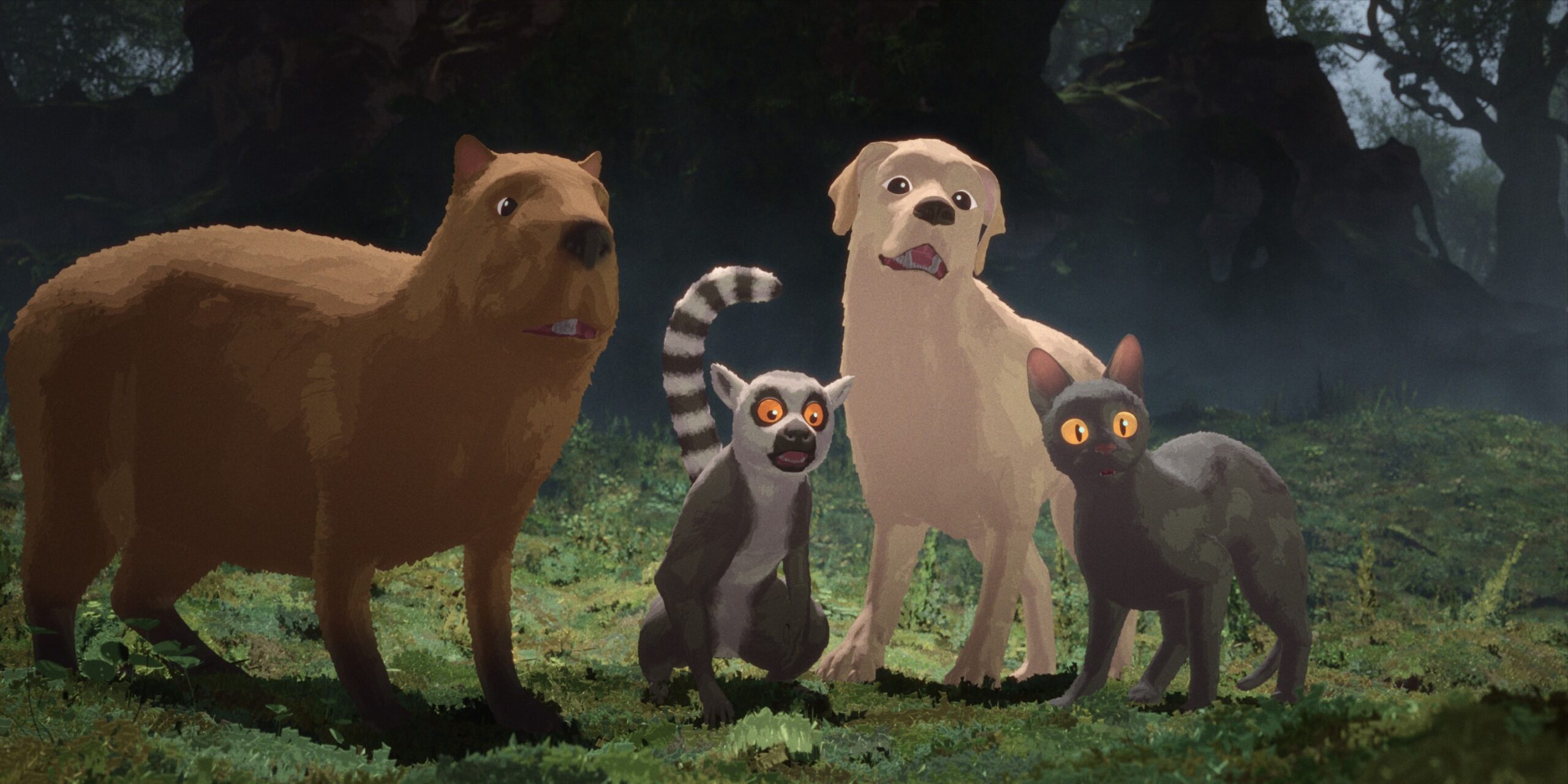 banner image