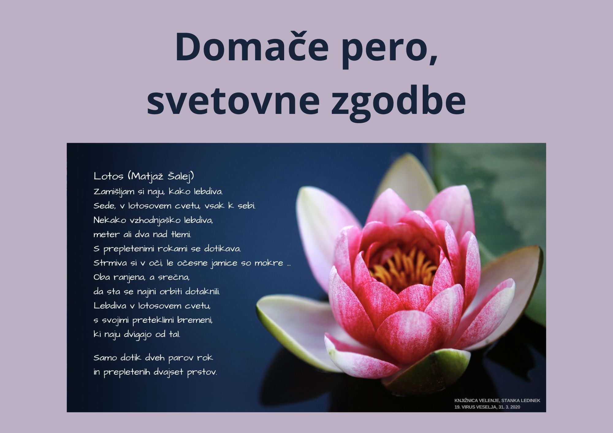 Domače pero, svetovne zgodbe