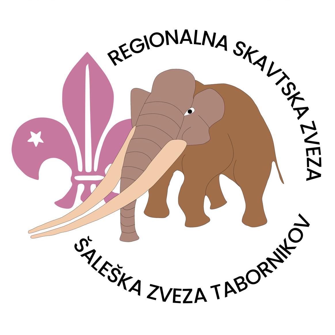 Dobrodelni dogodek Šaleške zveze tabornikov