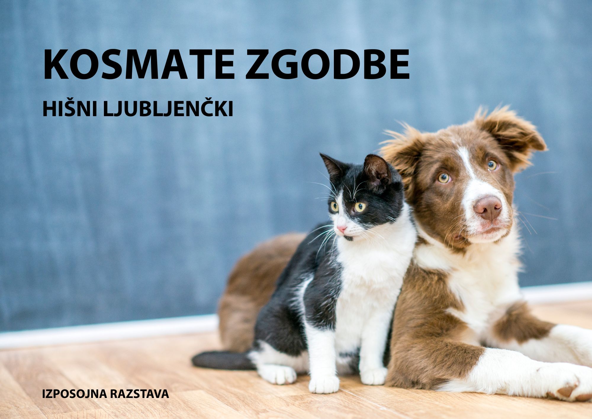 Kosmate zgodbe