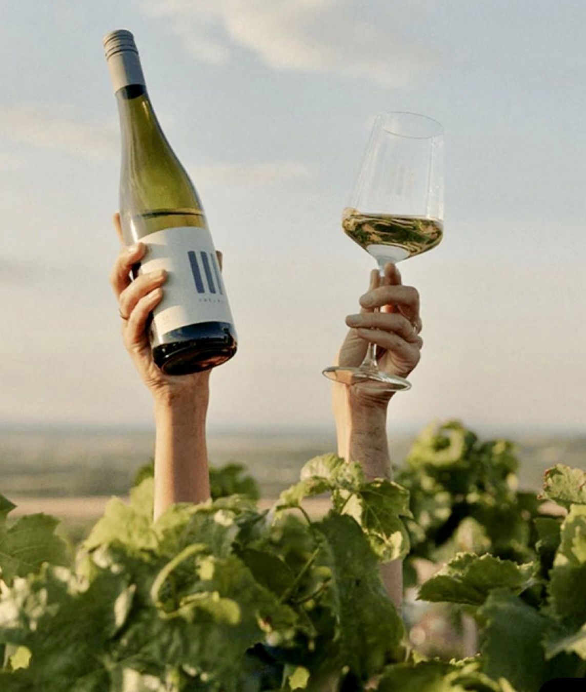 Martinovanje v Starem Velenju