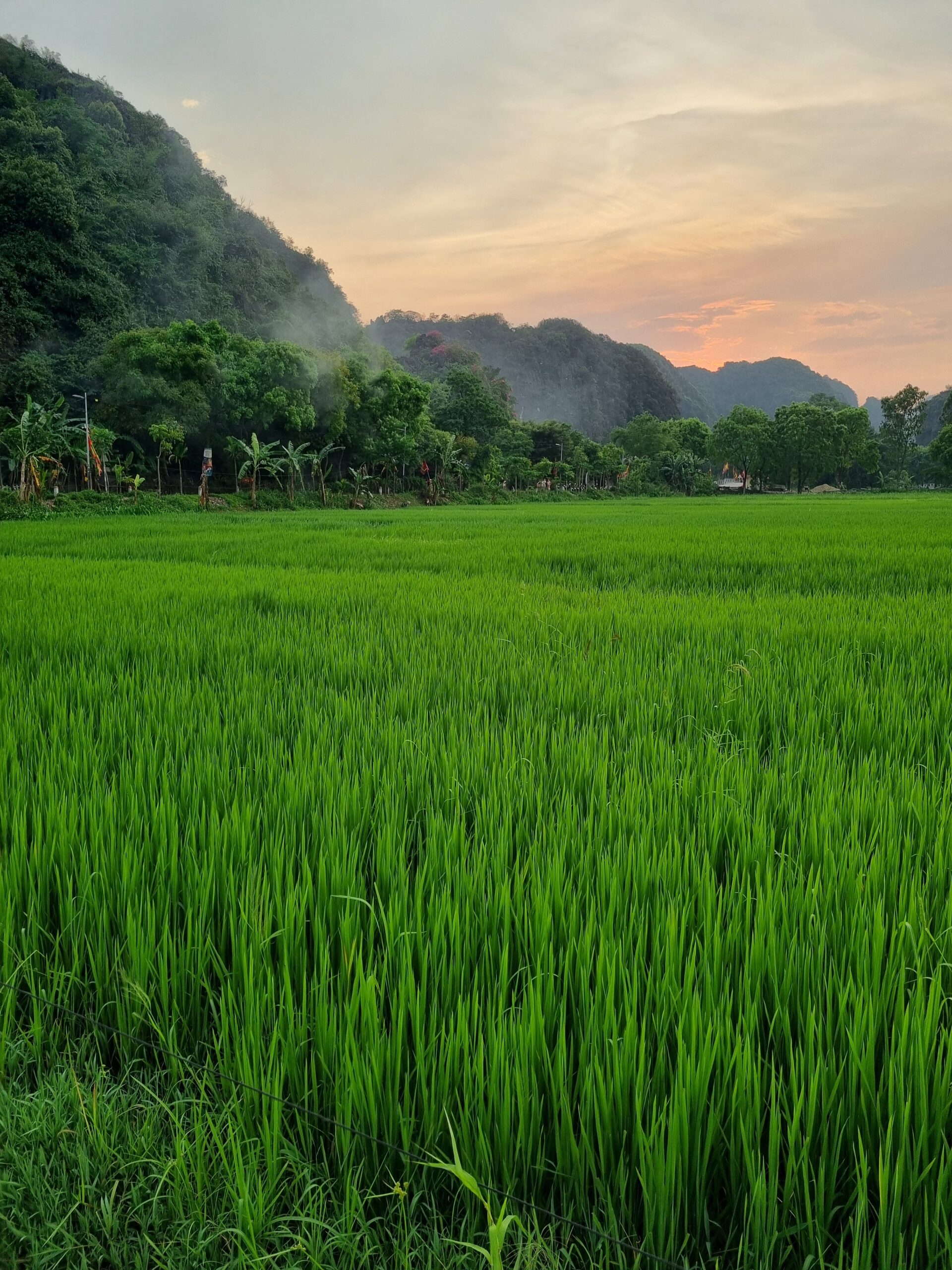 Dijana Hudournik: Vietnam – dežela nasmehov in riževih polj