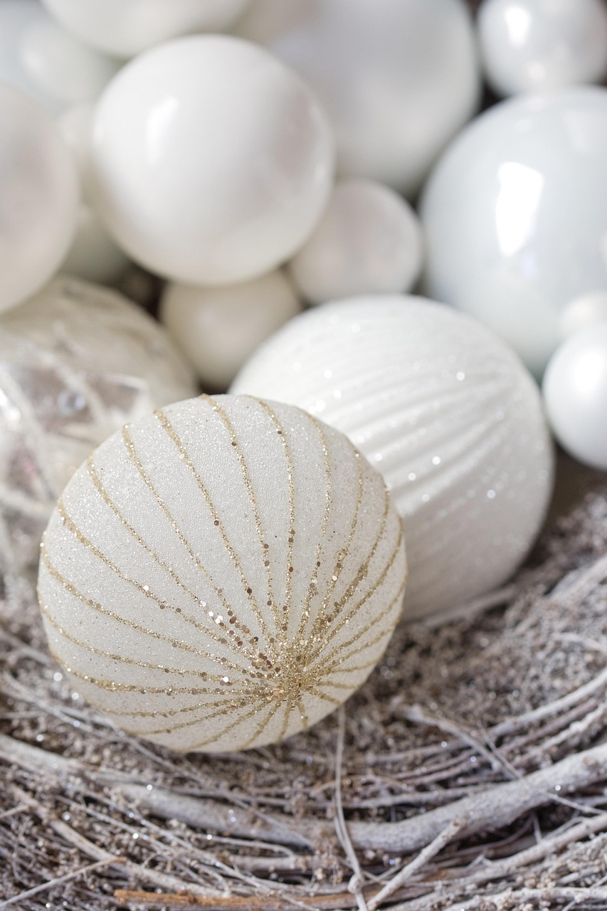 Prostovoljec za en dan