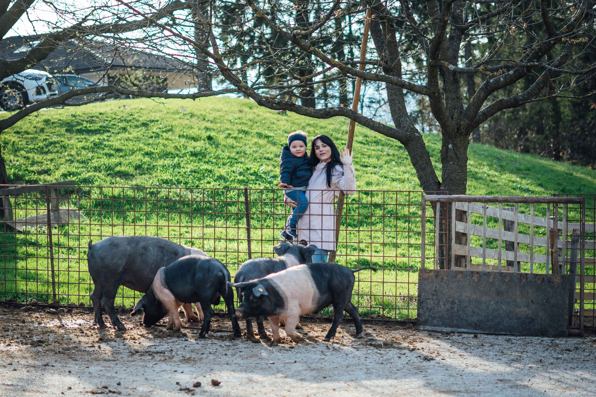 Tematsko vodenje: Vodemla in Turistična kmetija Karničnik