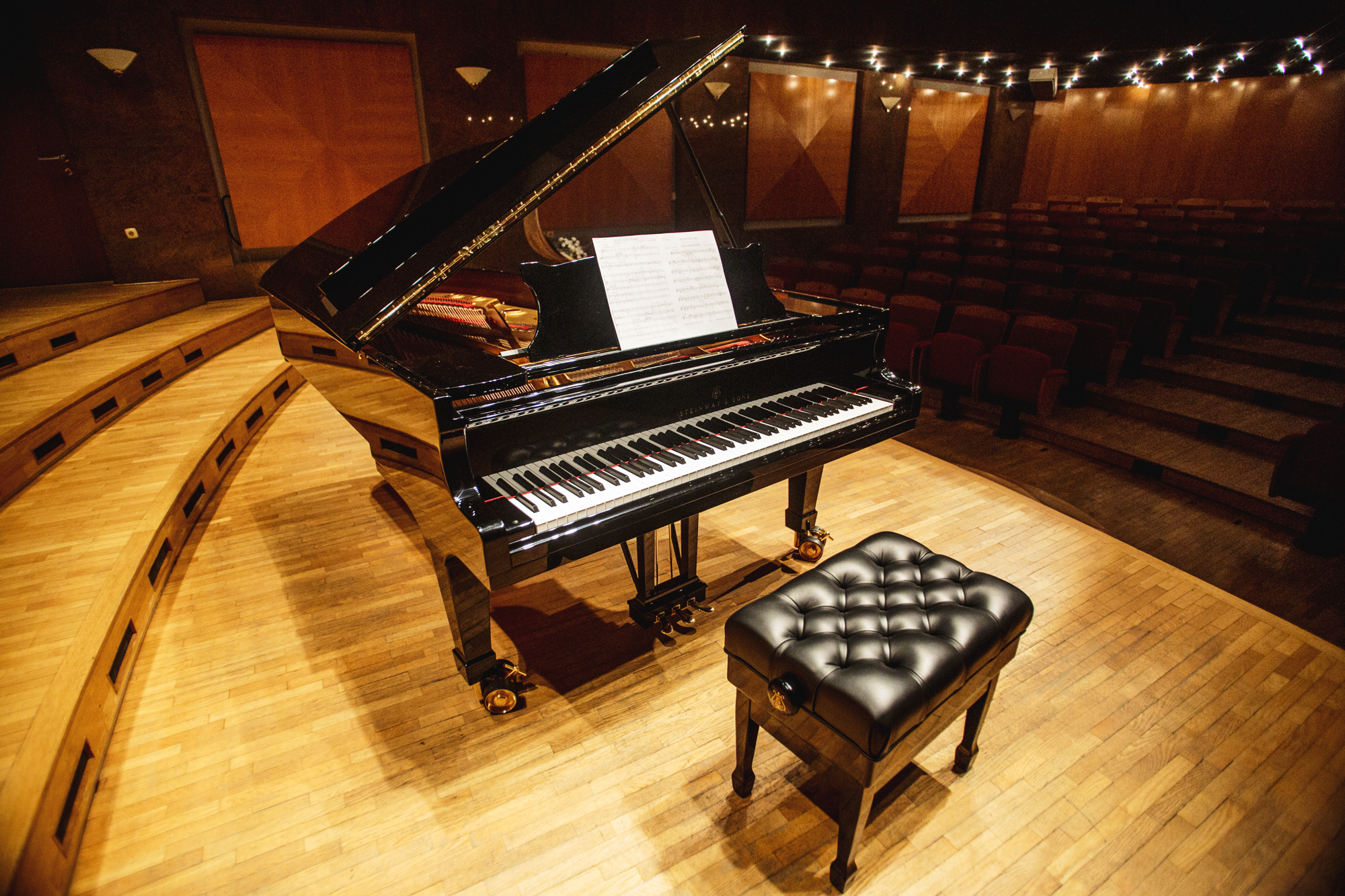 Koncert dijakov pianistov