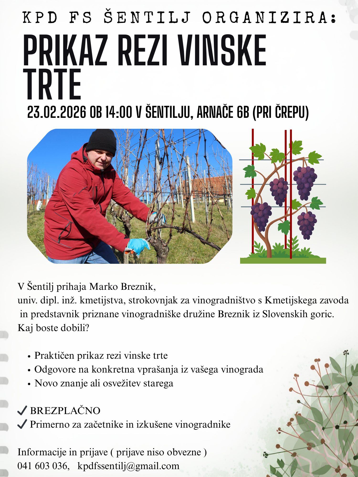 Delavnica reza vinske trte