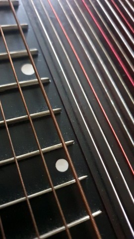 Koncert učencev in dijakov citer – tekmovalcev